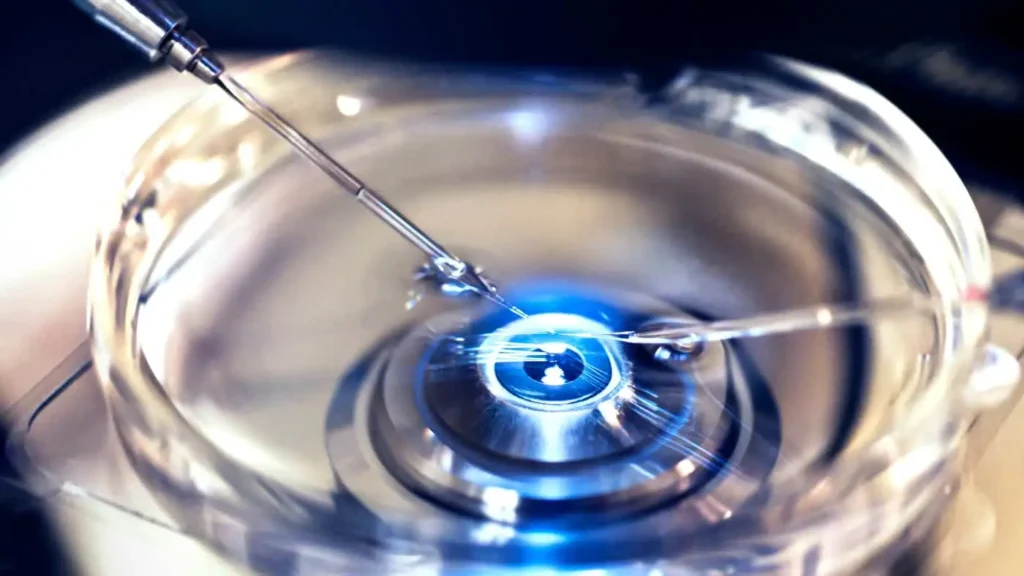 Como Fazer Seu Plano de Saúde Pagar pela Fertilização In Vitro Passo a Passo 2024