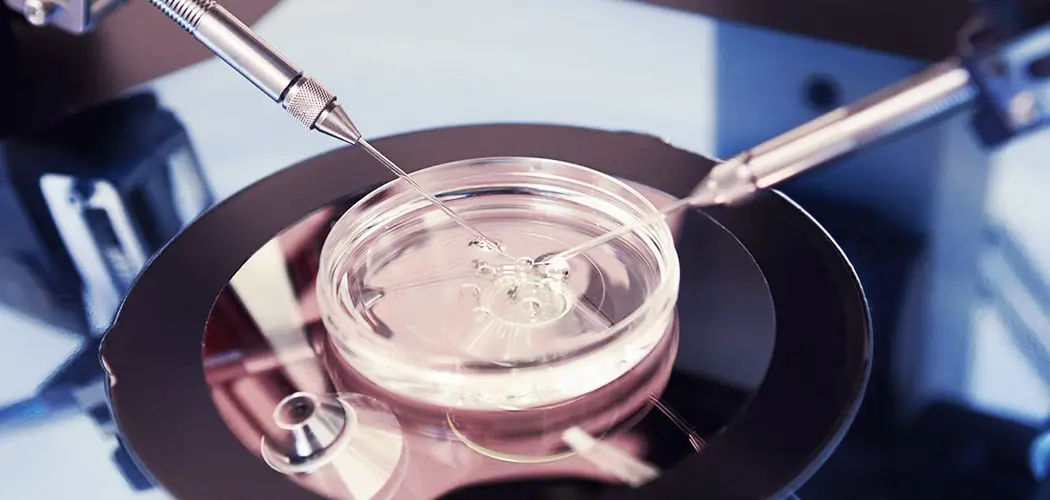 Como Fazer Seu Plano de Saúde Pagar pela Fertilização In Vitro: Passo a Passo 2024 2 Como Fazer Seu Plano de Saúde Pagar pela Fertilização In Vitro Passo a Passo 2024