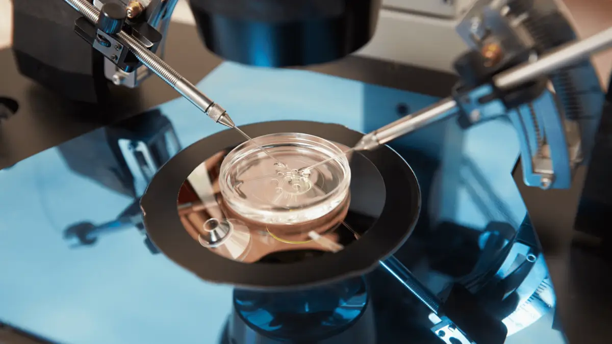 Como Fazer Seu Plano de Saúde Pagar pela Fertilização In Vitro: Passo a Passo 2024 1 Como Fazer Seu Plano de Saúde Pagar pela Fertilização In Vitro Passo a Passo 2024