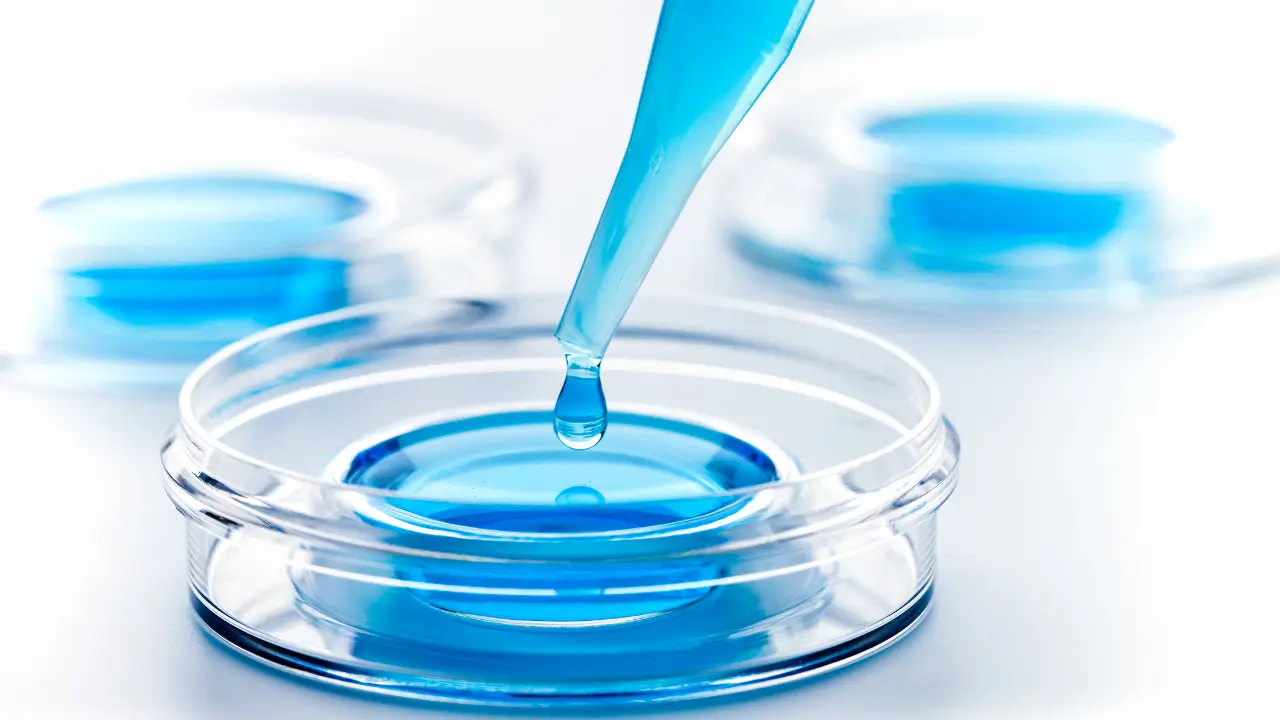 Veja Qual Plano de Saúde Cobre Fertilização In Vitro em 2024 2 Veja Qual Plano de Saúde Cobre Fertilização In Vitro em 2024 (2)